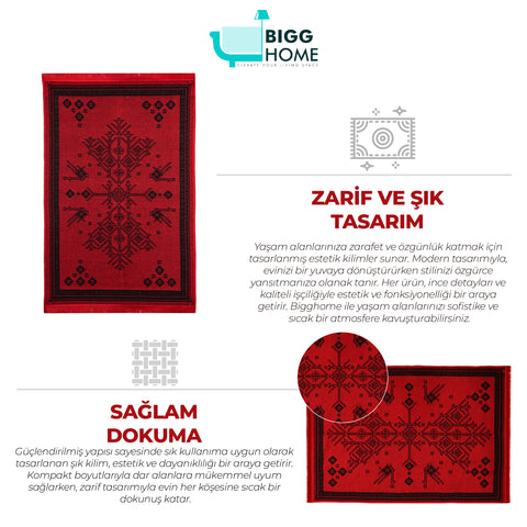 BiggHome Rug - 80*150 cm, Machine Washable, Durable, Ethnic-Inspired Pattern for Living Room, SA25CY  , 31.5 x 59.06 inches, 3.21 lbs.