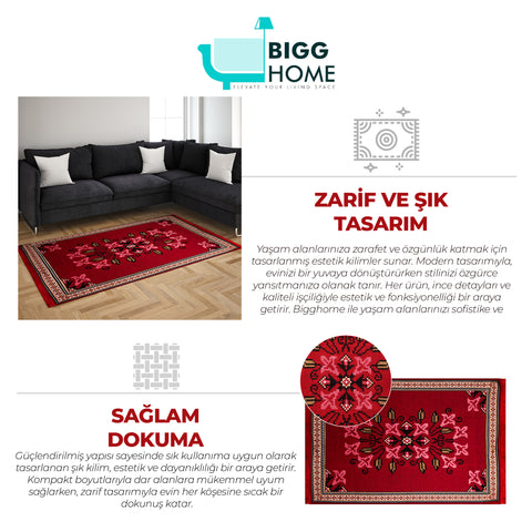 BiggHome Rug - 80x150 cm, Machine Washable, Durable, Ethnic-inspired Pattern for Living Room, SA25PY, 31.5 x 59.06 inches ,3.21 lbs.